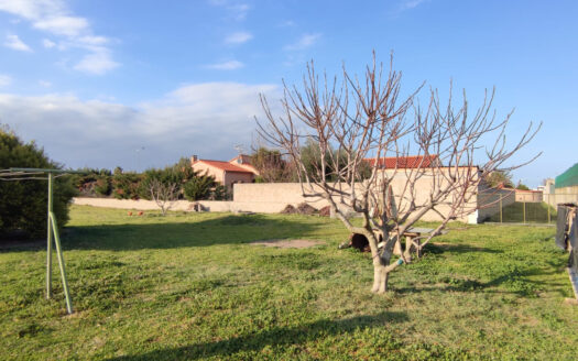 Terrain constructible 2000m2 – Argelès-sur-Mer