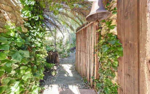 THUIR (66) – DOMAINE DE 7615 m2 – 250m2 HABITABLE + NOMBREUS