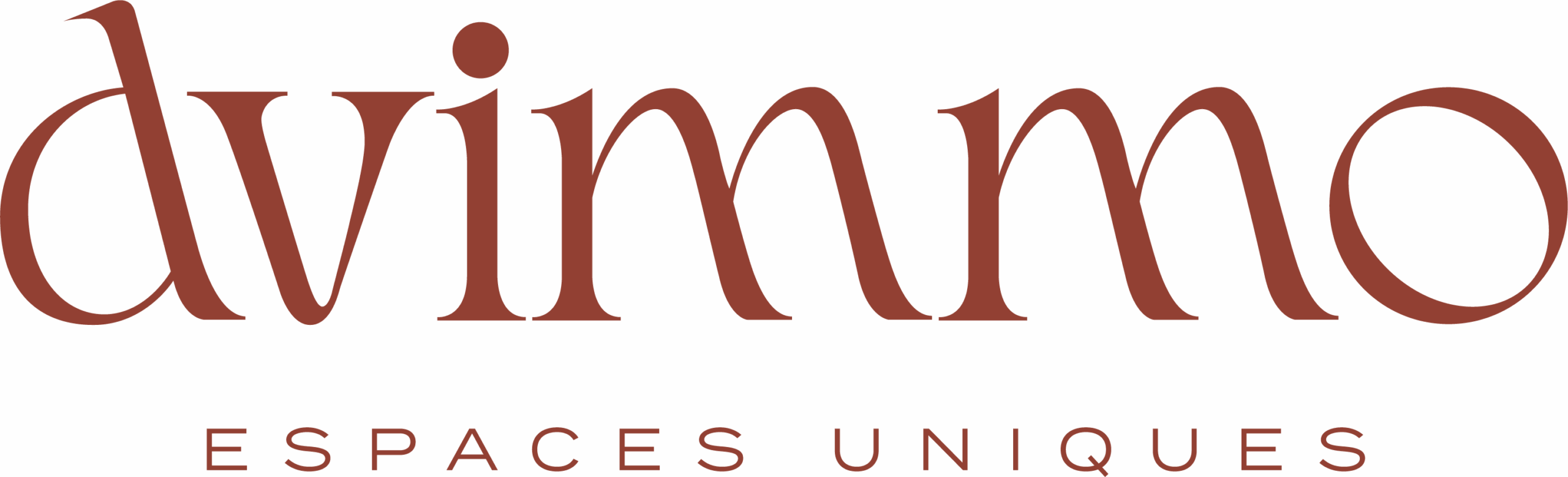 Logo de l'agence DV Immo
