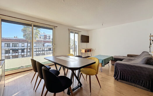 Perpignan Quartier Moulin à Vent Appartement traversant