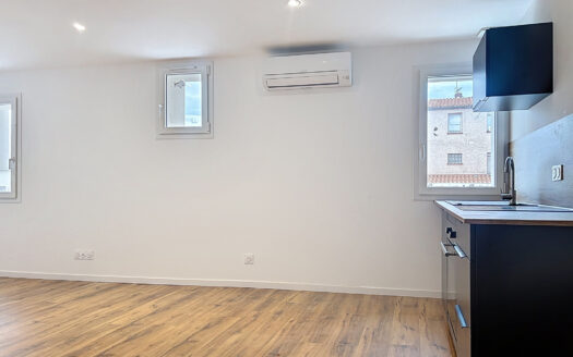 APPARTEMENT RENOVE VILLENEUVE DE LA RAHO