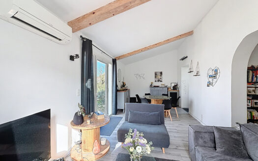 Maison avec local et garages à VILLELONGUE DELS MONTS