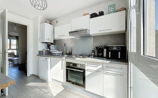 Moulin à vent, T3, 60m2, 2 chambres, cave, pas de travaux.