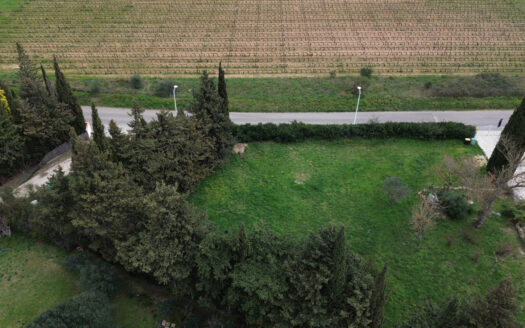 TERRAIN MAS LLARO EN EXCLUSIVITE