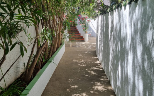 COLLIOURE – CENTRE HISTORIQUE – MAISON 4 FACES – JARDIN + TE