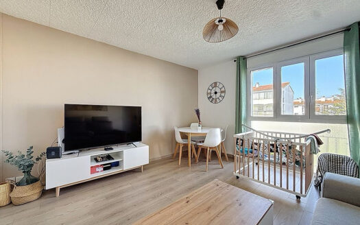 Moulin à vent, T3, 60m2, 2 chambres, cave, pas de travaux.