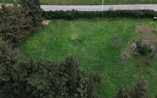 TERRAIN MAS LLARO EN EXCLUSIVITE