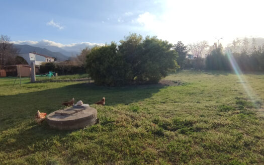 Terrain constructible 2000m2 – Argelès-sur-Mer