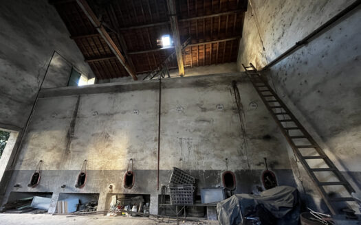 Ancienne cave viticole / grange à réhabiliter ELNE