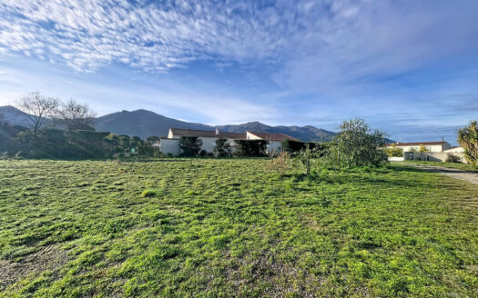 LAROQUE-DES-ALBERES (66) – TERRAIN A BATIR – 3235m2