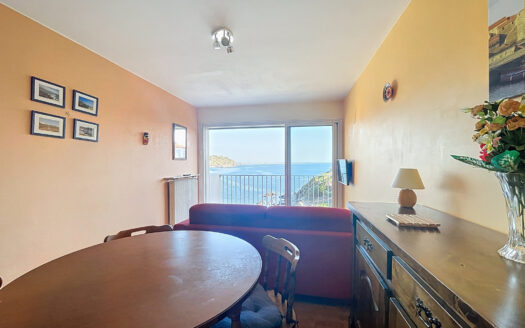 COLLIOURE (66) – APPARTEMENT 48m2 – VUE MER
