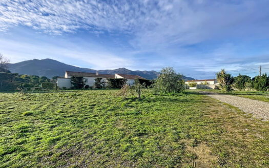 LAROQUE-DES-ALBERES (66) – TERRAIN A BATIR – 3235m2