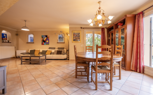 EXCLUSIVITE. ENSEMBLE AVEC MAISON + HANGAR + APPARTEMENT