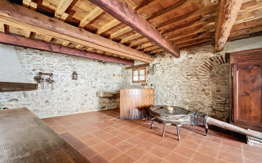 COLLIOURE – CENTRE HISTORIQUE – MAISON 4 FACES – JARDIN + TE