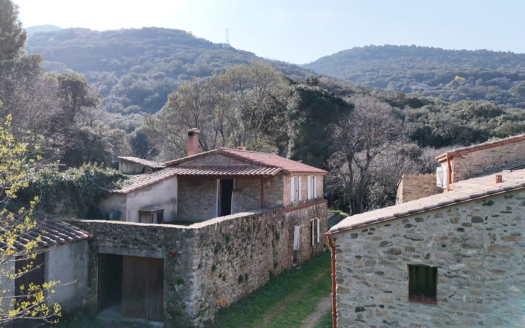 Mas exceptionnel de 3 habitations ( Argeles )