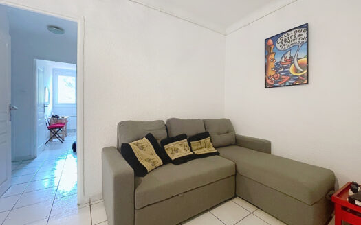 COLLIOURE – APPARTEMENT 48m2 – TERRASE – PLACE DE PARKING –