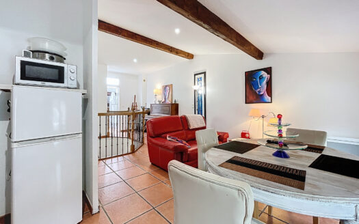 AMELIE-LES-BAINS (66) – APPARTEMENT – 46m2
