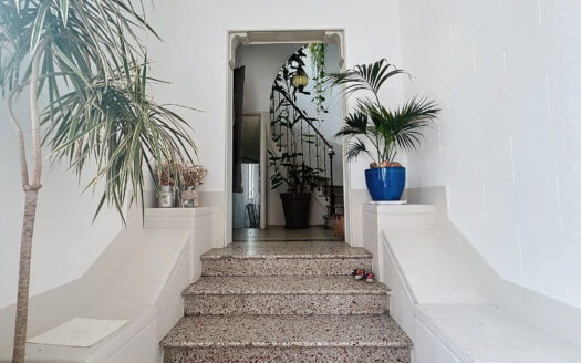 ENSEMBLE IMMOBILIER AVEC HABITATION ET LOCAL COMMERCIAL