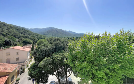 LAROQUE-DES-ALBERES (66) – MAISON DE VILLAGE – VUE ALBERES E
