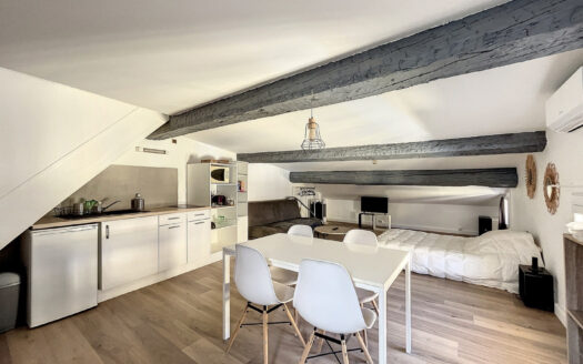 STUDIO MEUBLE AVEC TOIT TERRASSE