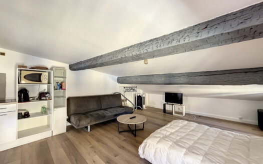 STUDIO MEUBLE AVEC TOIT TERRASSE