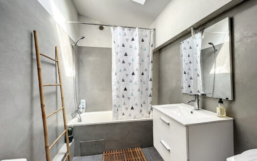 STUDIO MEUBLE AVEC TOIT TERRASSE