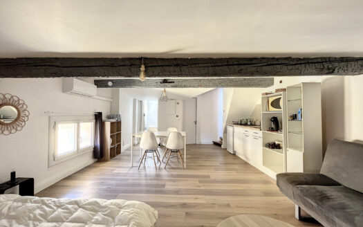 STUDIO MEUBLE AVEC TOIT TERRASSE