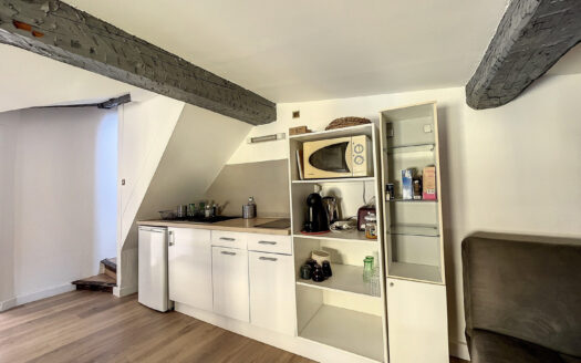 STUDIO MEUBLE AVEC TOIT TERRASSE