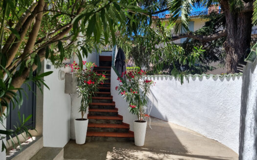 COLLIOURE – CENTRE HISTORIQUE – MAISON 4 FACES – JARDIN + TE