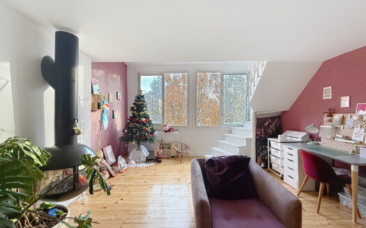 PERPIGNAN – APPARTEMENT CENTRE VILLE AVEC TOIT TERRASSE ET P
