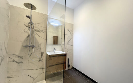 APPARTEMENT 3 PIECES AVEC COUR
